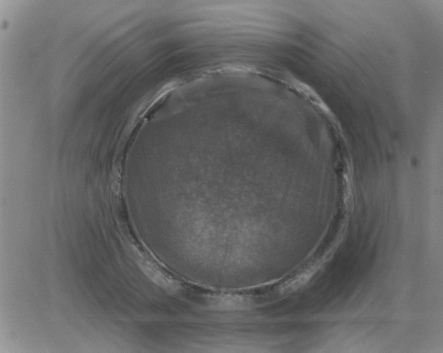 X0000083990785200703021938