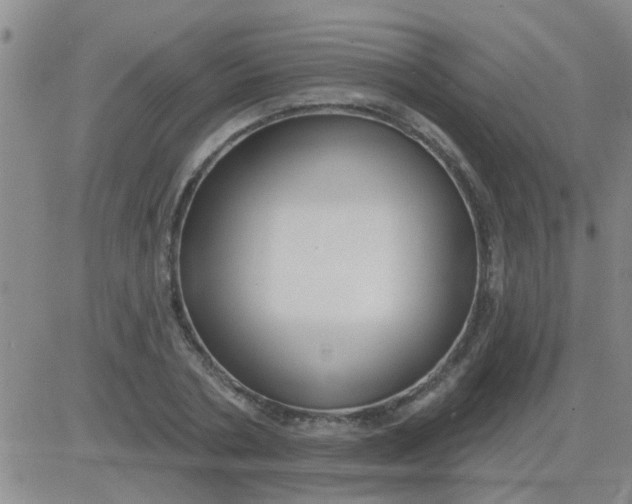 X0000083990786200703021938