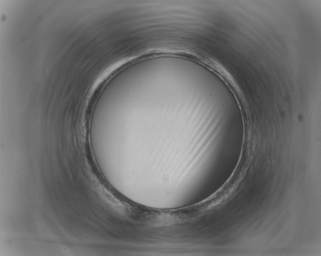 X0000083990787200703021938