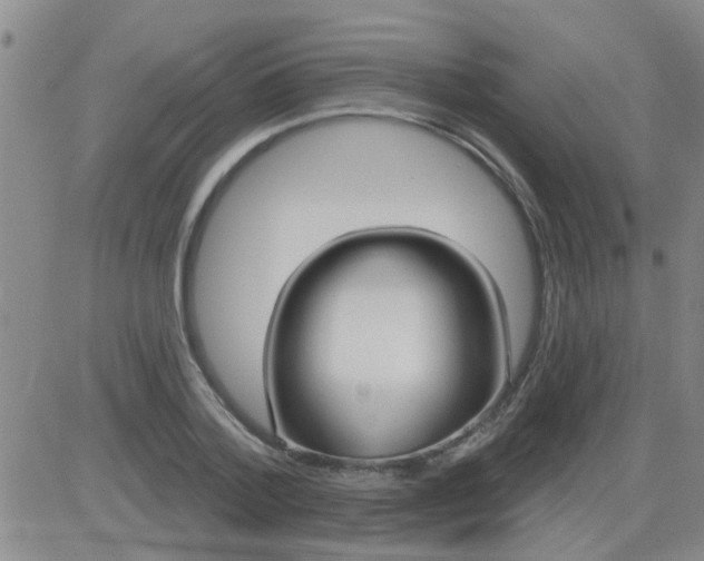 X0000083990788200703021938