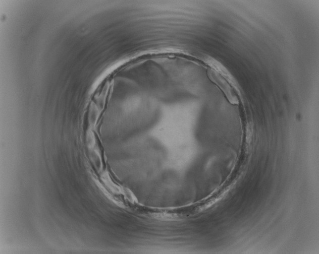 X0000083990789200703021938