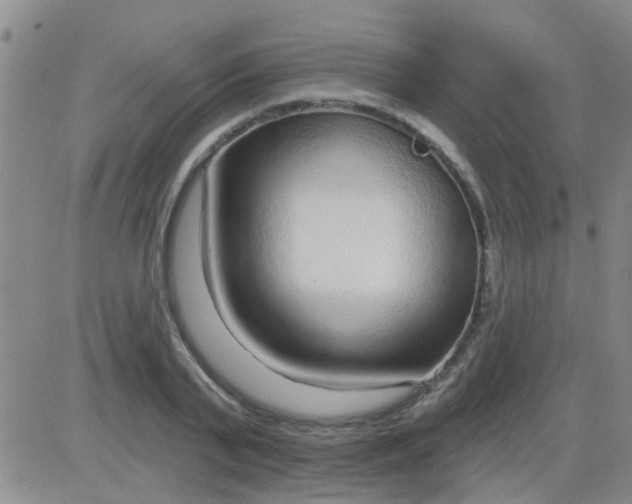 X0000083990791200703021938