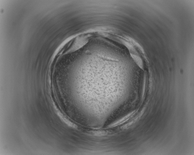 X0000083990792200703021938