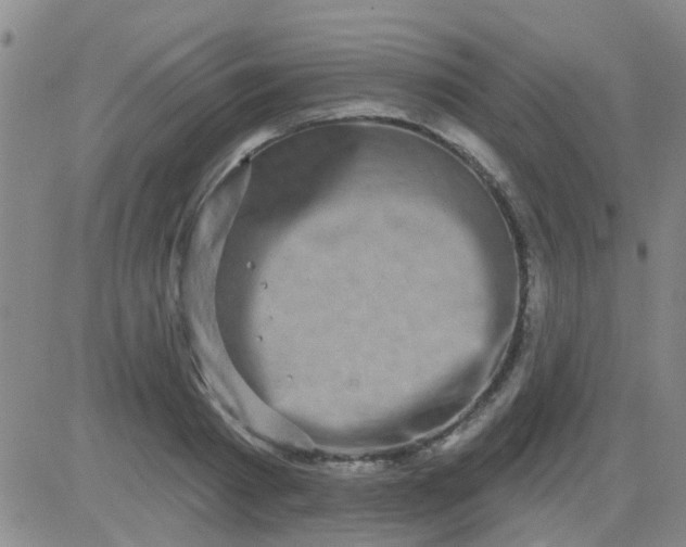 X0000083990793200703021938