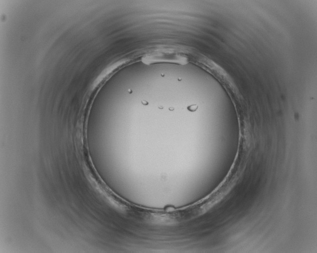 X0000083990794200703021938