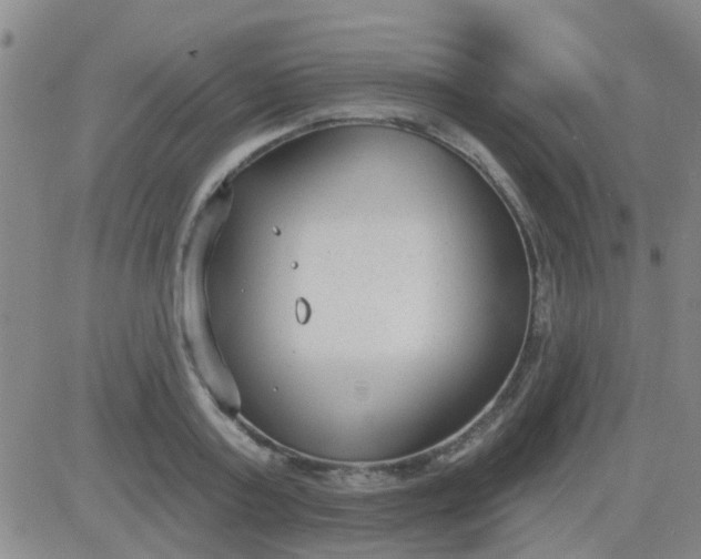 X0000083990795200703021938