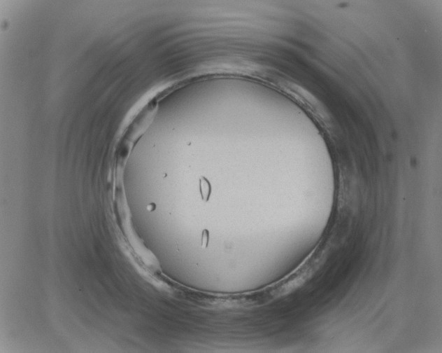 X0000083990796200703021938