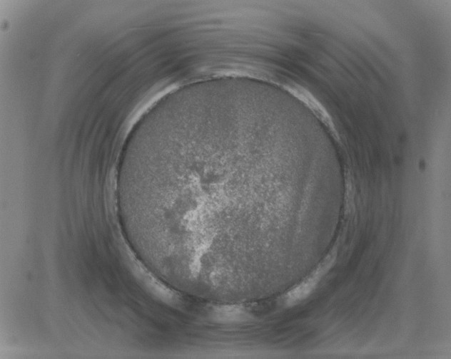 X0000083990798200703021938