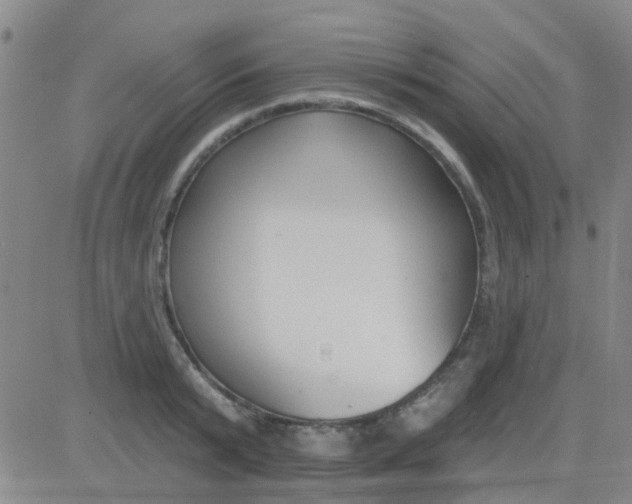 X0000083990799200703021938