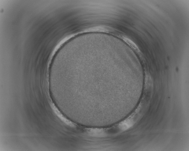 X0000083990800200703021938