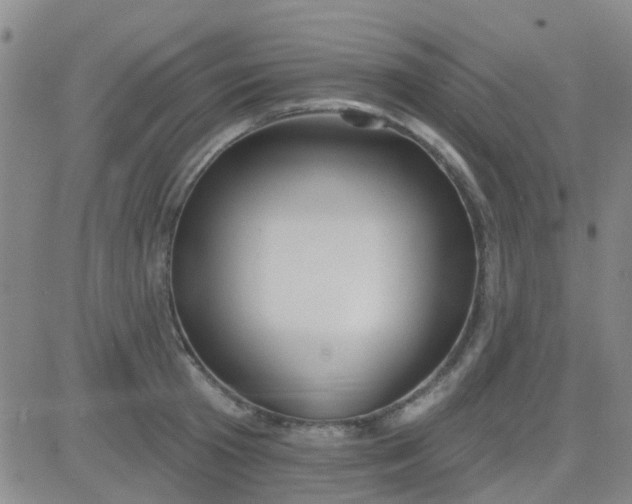 X0000083990801200703021938