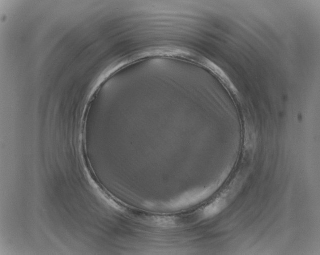 X0000083990802200703021938