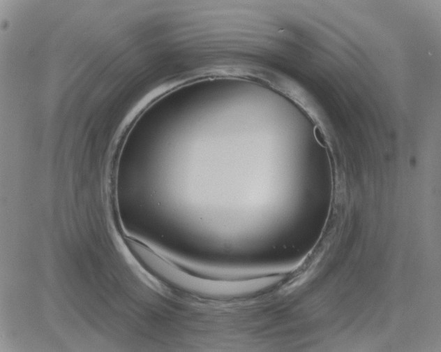 X0000083990803200703021938