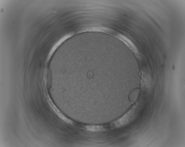 X0000083990804200703021938