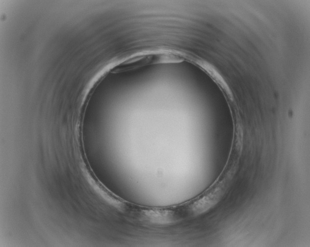 X0000083990805200703021938