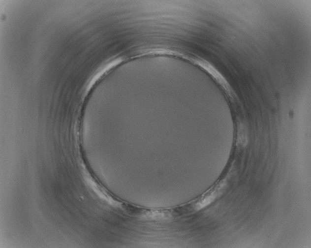 X0000083990806200703021938