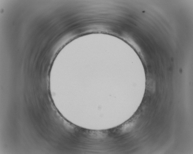 X0000083990807200703021938