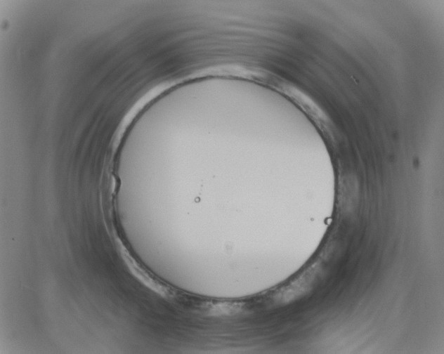 X0000083990808200703021938