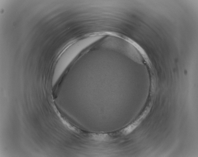 X0000083990809200703021938