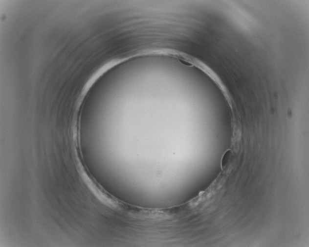 X0000083990811200703021938