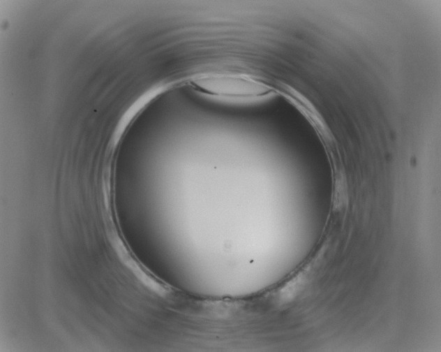 X0000083990812200703021938