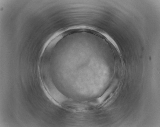 X0000083990813200703021938