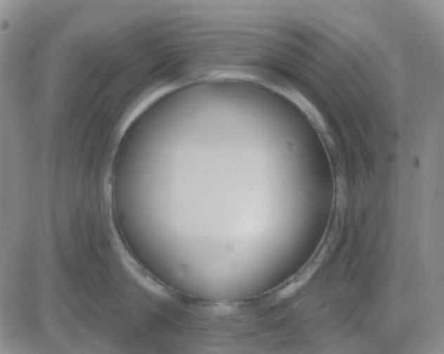 X0000083990814200703021938