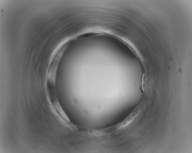 X0000083990815200703021938