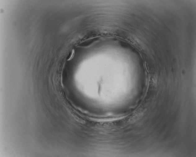 X0000083990817200703021937