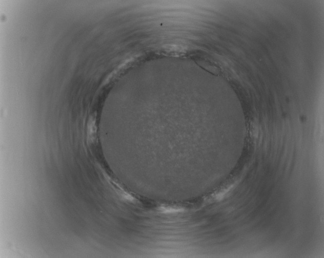 X0000083990818200703021937