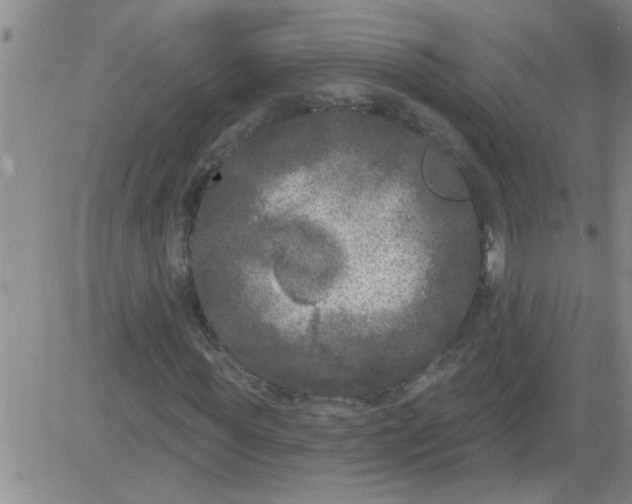 X0000083990819200703021937