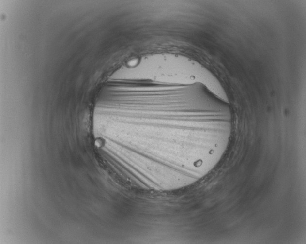 X0000083990820200703021937