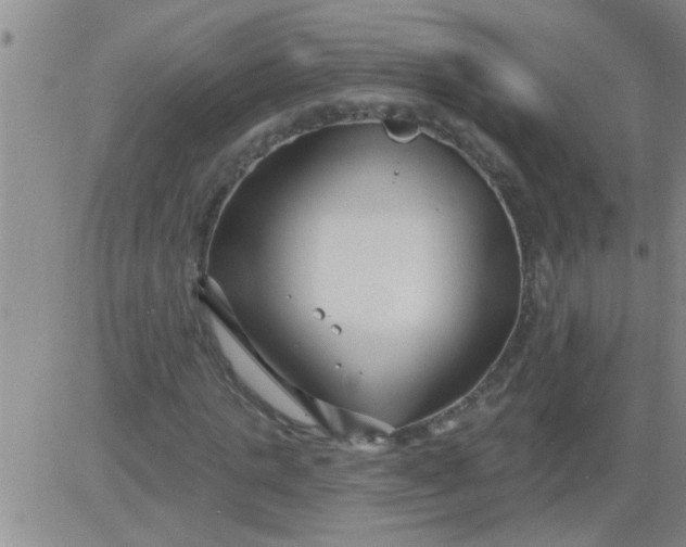 X0000083990821200703021937