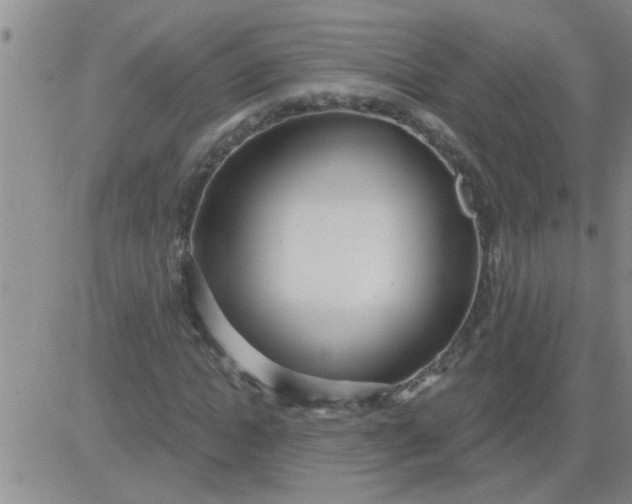 X0000083990822200703021937