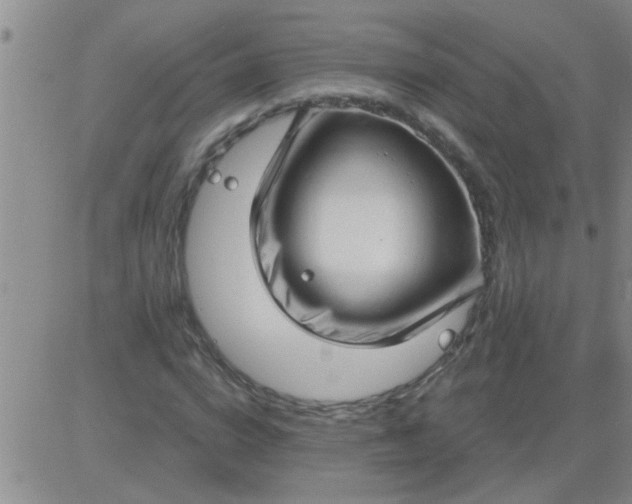 X0000083990824200703021937