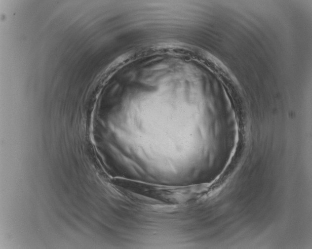 X0000083990825200703021937