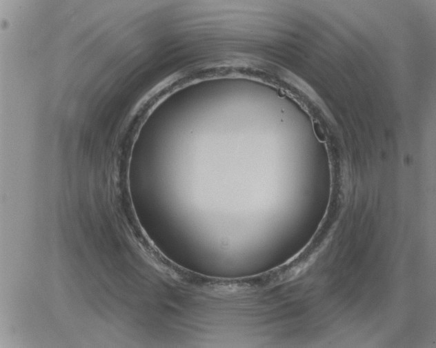 X0000083990826200703021937