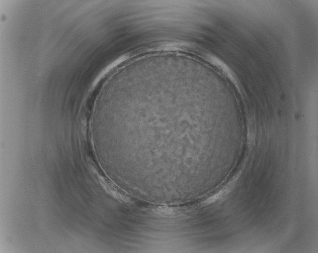 X0000083990827200703021937