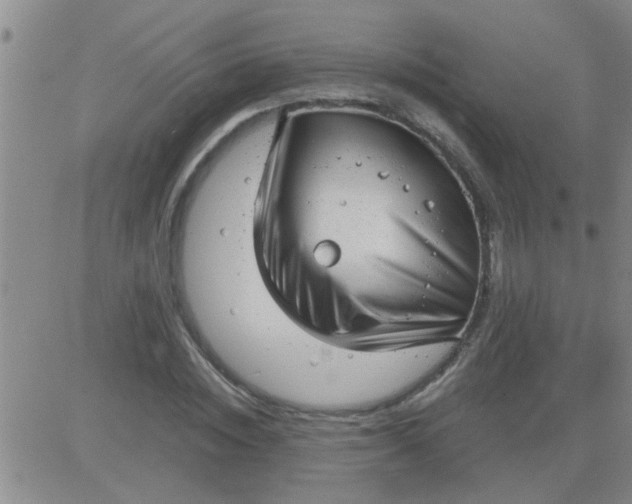 X0000083990828200703021937