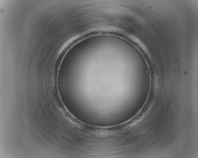 X0000083990829200703021937