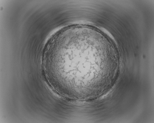 X0000083990831200703021937