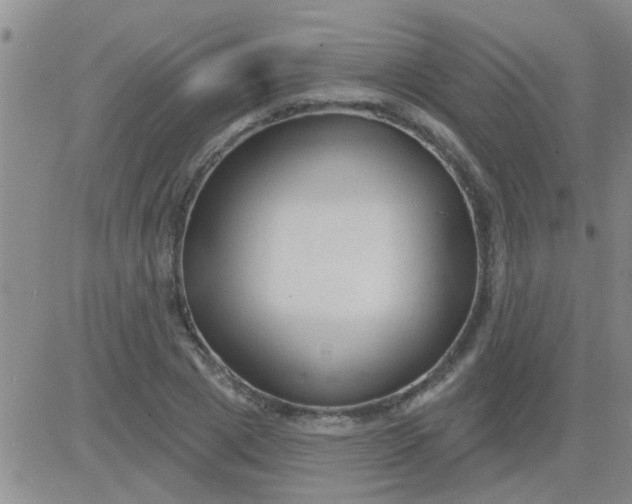 X0000083990833200703021937