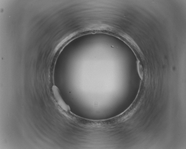 X0000083990834200703021937