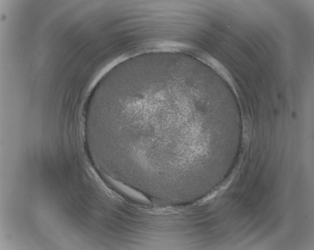 X0000083990835200703021937