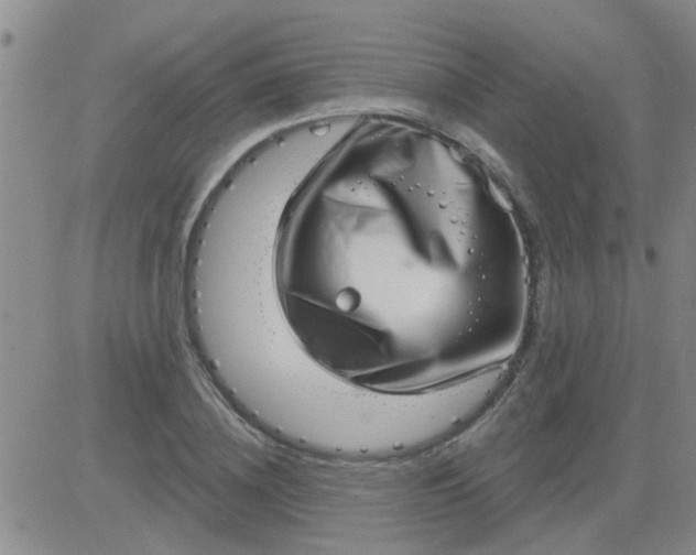 X0000083990836200703021937