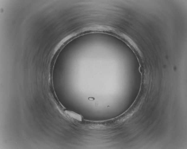 X0000083990837200703021937