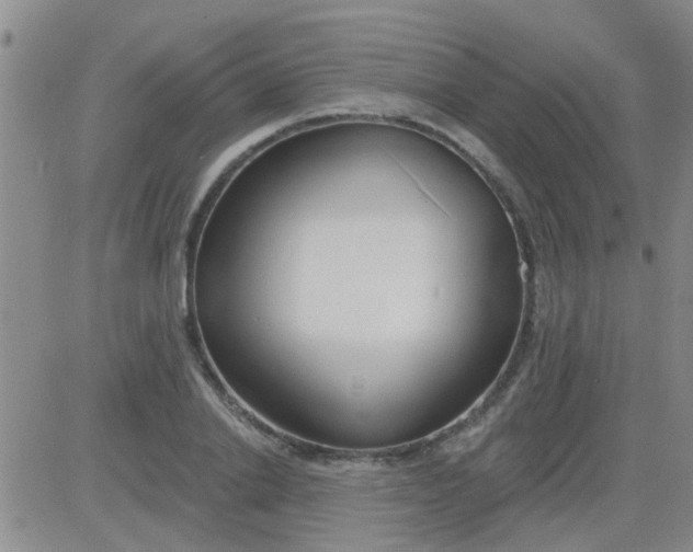 X0000083990838200703021937