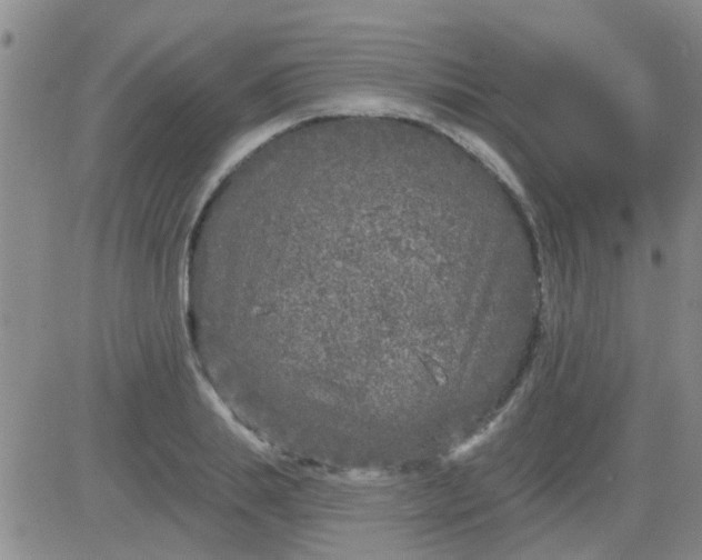 X0000083990839200703021937