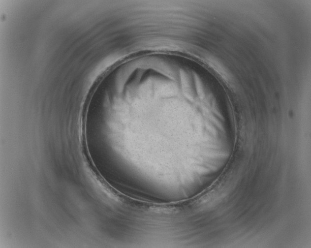 X0000083990840200703021937