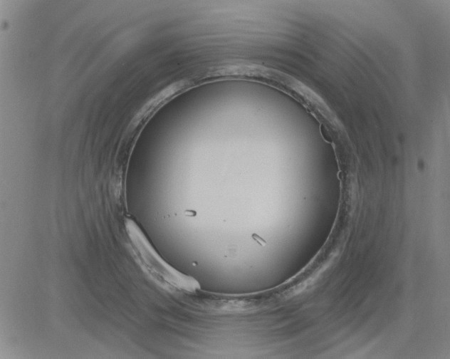 X0000083990841200703021937